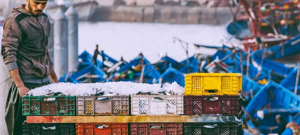 Advancing MSP in the Mediterranean: Key Takeaways from the 3rd MSP Working Group Meeting