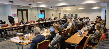Advancing Sustainable Development in the Mediterranean: Strengthening Cooperation and Strategic Actions